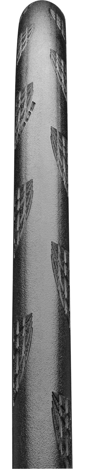 Continental Grand Prix 5000 Cream Tyre Wall - Image 3