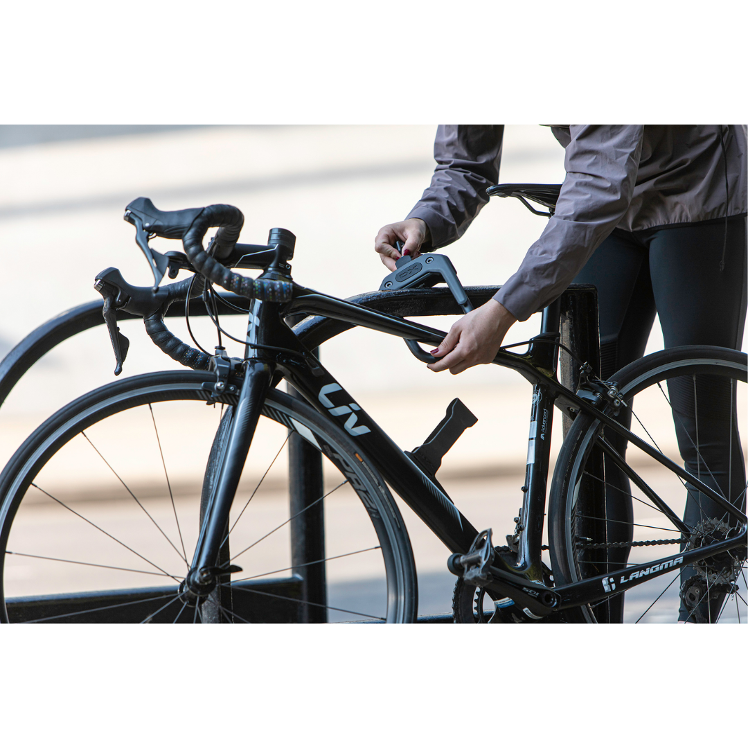 Hiplok DX D Lock With Frame Clip - Image 4